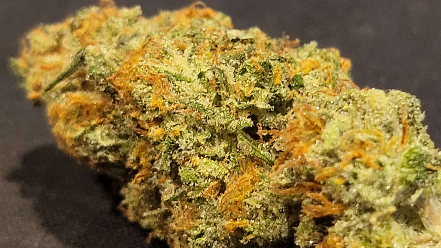 Lime Dog (14 Souvenir Fem. Seeds)