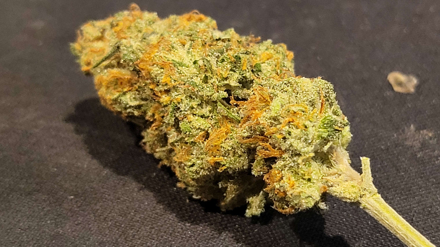 Lime Dog (14 Souvenir Fem. Seeds)