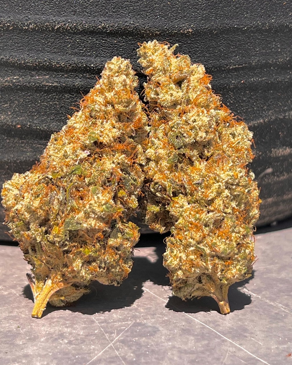 Piña Sorbeté (14 Souvenir Fem. Seeds)