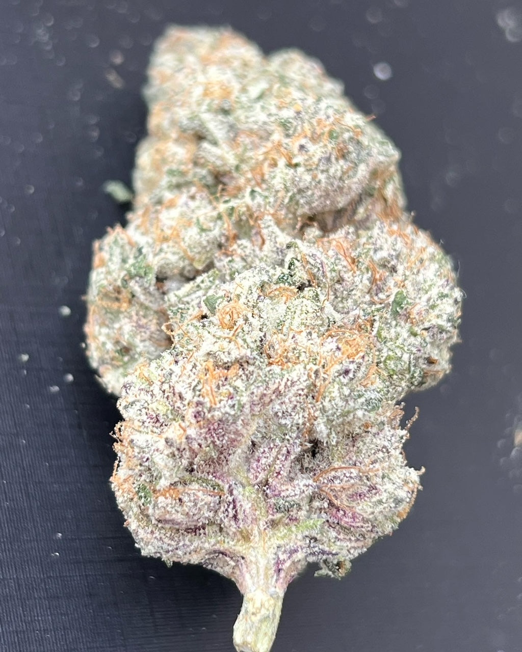Ice Cream OG (6 feminized novelty seeds)