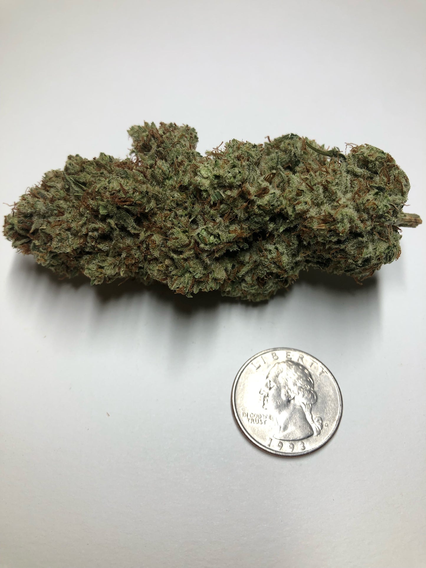 Sweet African Goat (10 regular souvenir seeds)