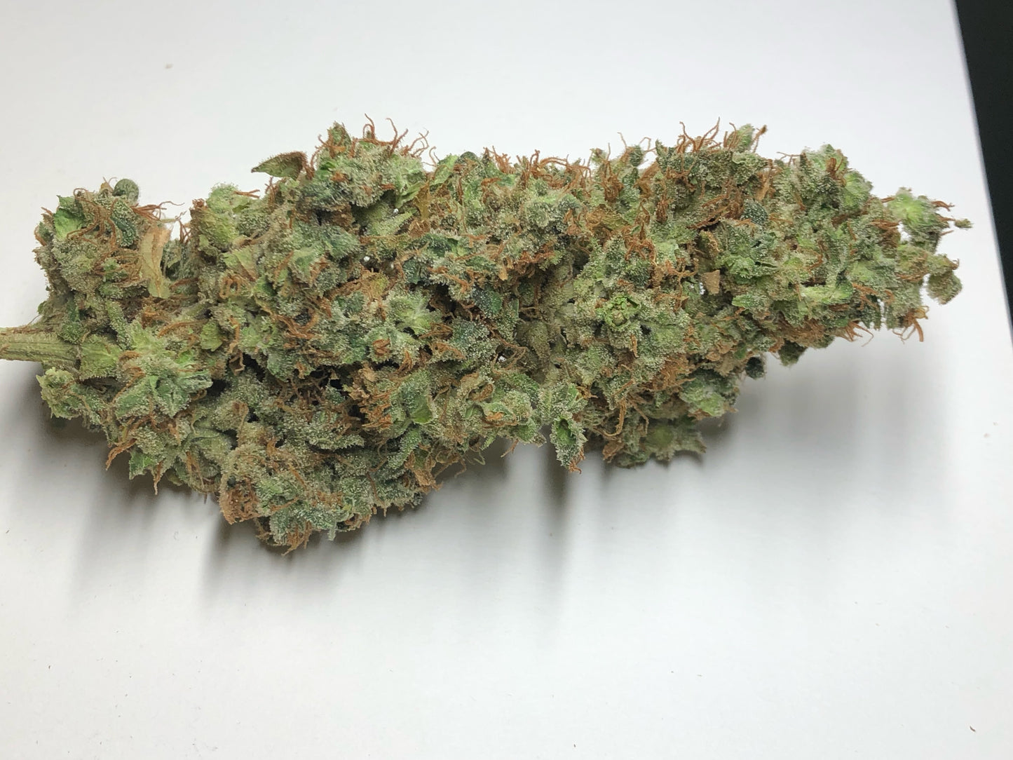 Clockwork Pineapple (12 Regular Souvenir Seeds)