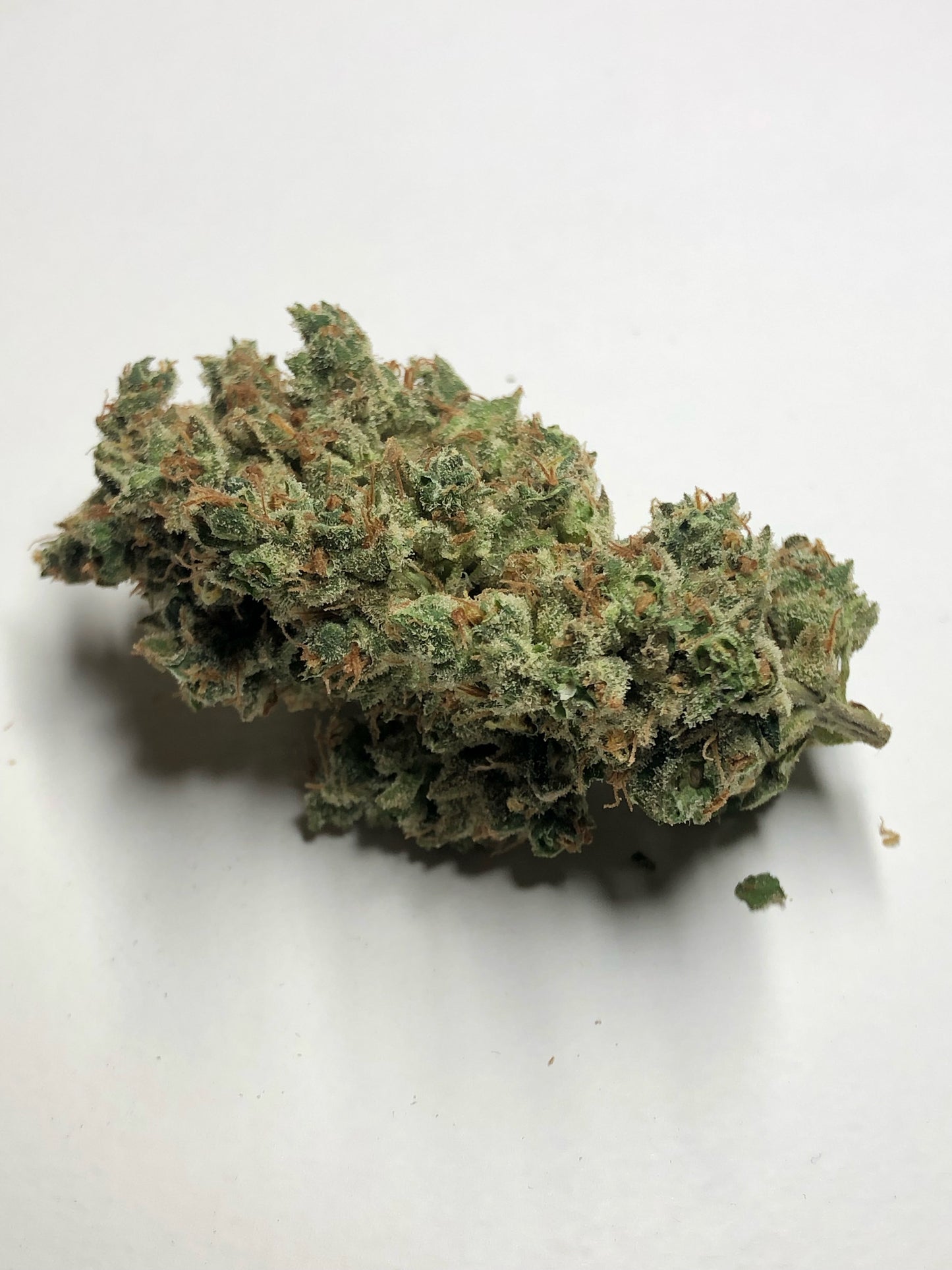 Clockwork Pineapple (12 Regular Souvenir Seeds)