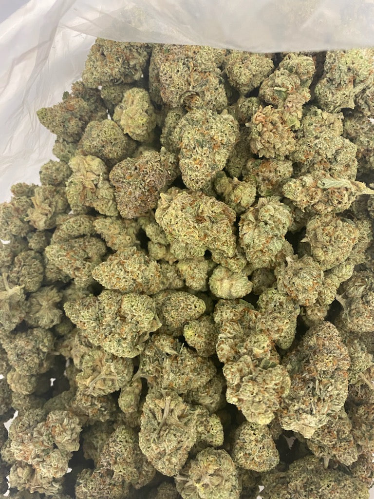 African Fuel (10 regular souvenir seeds)