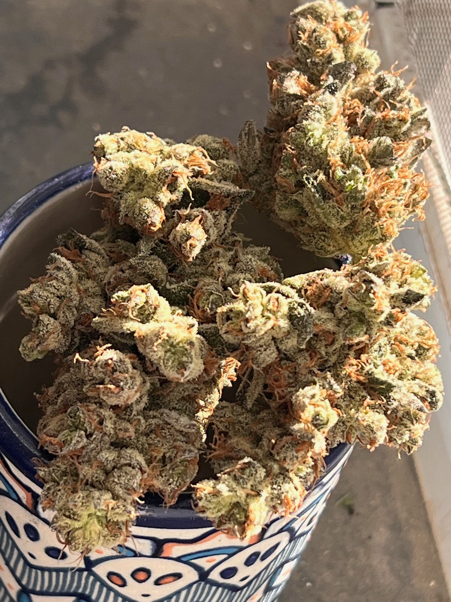 The Valley Clockwork (10 regular souvenir seeds)